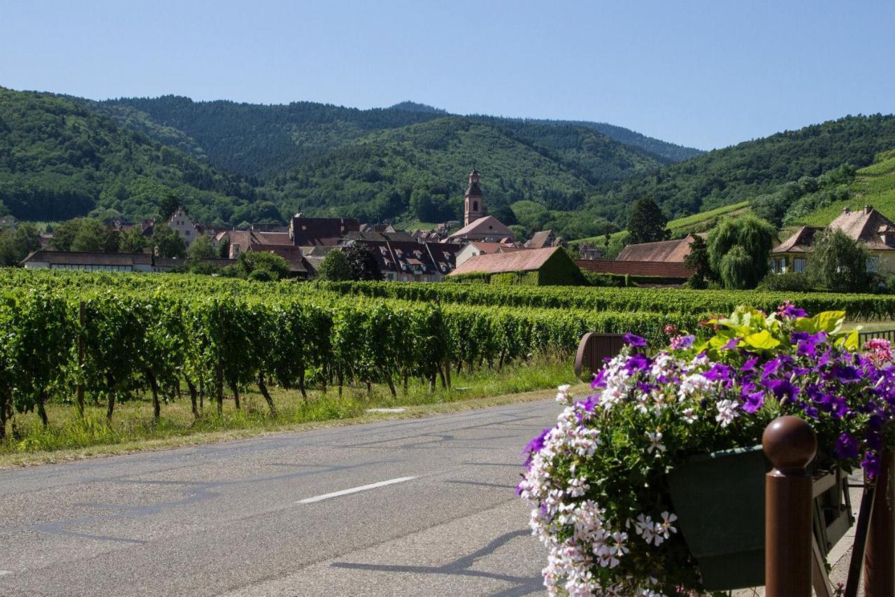 Hotel Berceau Du Vigneron Turckheim Luaran gambar